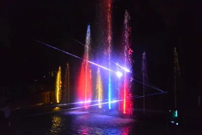 DSC_7061 (Large).JPG